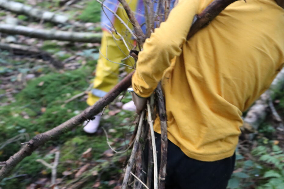 Arboristik, Bildungszentrum, Nachhaltigkeit, Baumpflege, Umweltbildung, Rheinland-Pfalz, Lebenslanges Lernen, Pädagogik, GUtachten, Baumkontrolle, Sachverständiger, Seminar, Workshop, Fortbildung, Weiterbildung, Kurse, Waldpädagogik, Umweltpädagogik, Naturbildung, Erlebnis, Kita, Schule, Ferien, Ganztag, BNE, Werken